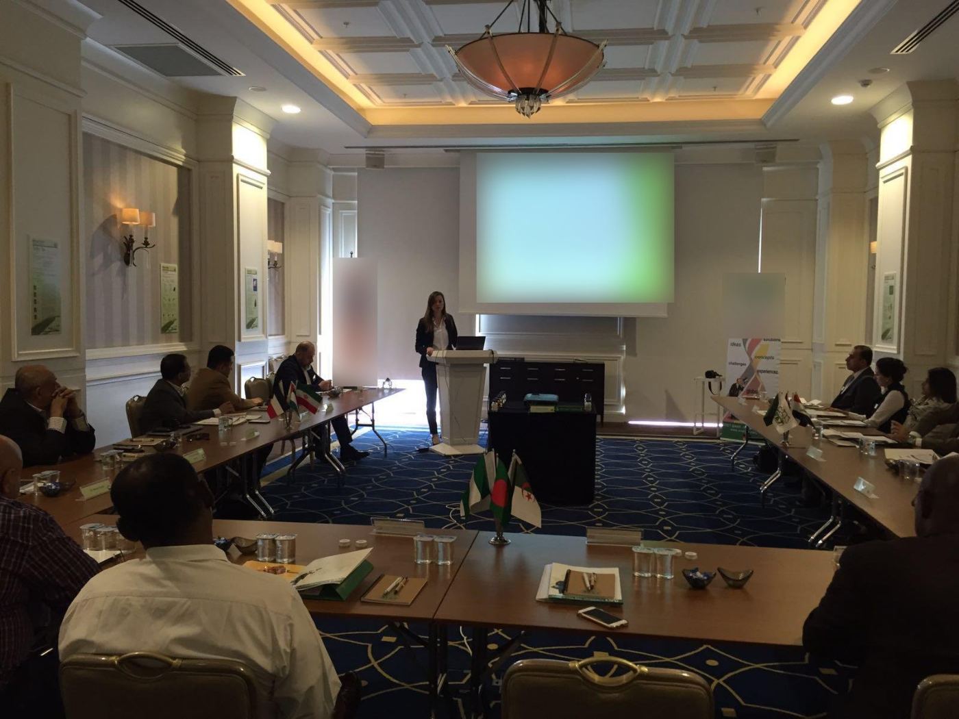 Diana Pereira Piechoczek leading an international sales workshop